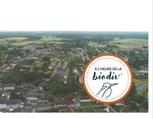 [À l'heure de la biodiv' !] Les "labels" de la biodiversité 2/3 : Des "labels" pour accompagner les collectivités