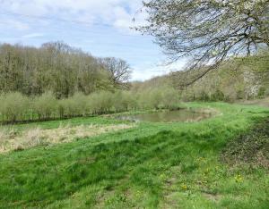 Journée interpôles de l'Observatoire régional de la biodiversité sur les zones humides