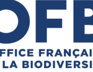 Forum Biodiversité et Economie | OFB