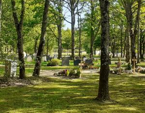 Végétaliser mon cimetière