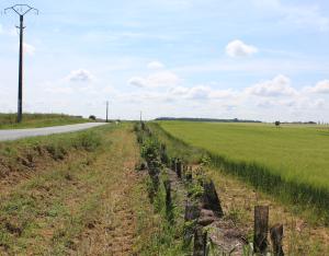 Planter des haies sur mon exploitation 