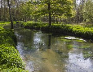 Lutter contre les déchets plastiques depuis les terres