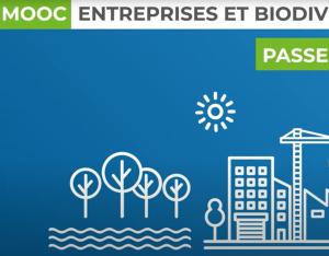 Suivre le MOOC Entreprises et biodiversité !