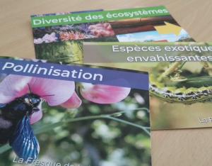 Participer à une des Fresques en lien avec la biodiversité