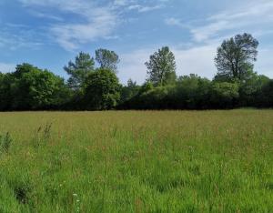 Planter des haies sur mon exploitation 