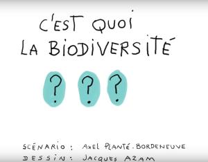 1 jour 1 question "C'est quoi la biodiversité ?"