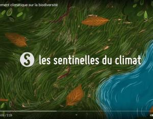 Les effets du changement climatique sur la biodiversité | Sentinelles du climat