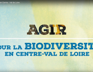 Agir pour la biodiversité en Centre-Val de Loire