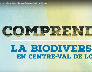 Comprendre la biodiversité en Centre-Val de Loire