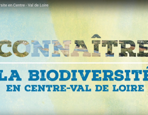 Connaître la biodiversité en Centre-Val de Loire