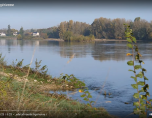 La biodiversité ligérienne | OFB