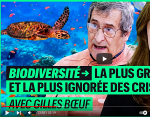 Biodiversité : la plus grave et la plus ignorée des crises | BLAST