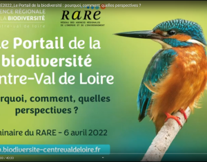 Atelier : Le Portail, démonstration et présentation - replay du 6/04/2022