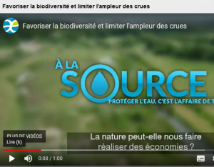 Favoriser la biodiversité et limiter l'ampleur des crues