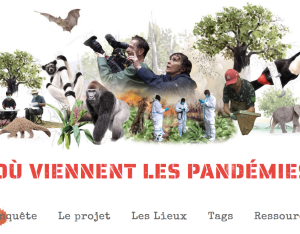 D'où viennent les pandémies ? | La fabrique des pandémies / OFB