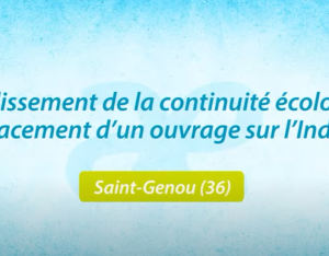 Restauration de la continuité écologique de la rivière Indre