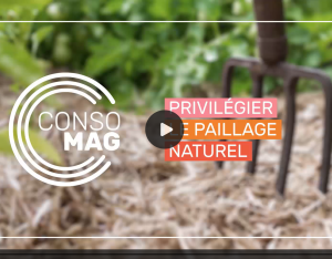 Jardiner tout en respectant la biodiversité : mode d’emploi | Institut national de la consommation / OFB