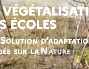 La végétalisation des écoles, une Solution d'adaptation fondée sur la Nature | OFB