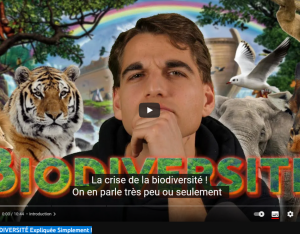 La crise de la biodiversité expliquée simplement ! | Chez Anatole