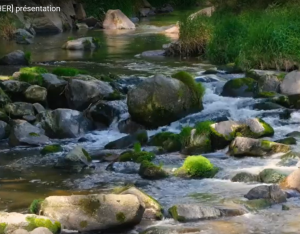 L'eau dans le Cher | Département du Cher