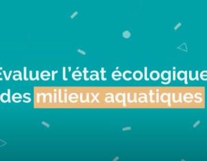 Evaluer l'état écologique des milieux aquatiques