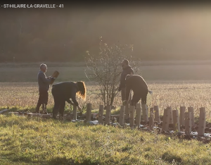 Plantation d'une haie | Pêcheurs de Centre-Val de Loire