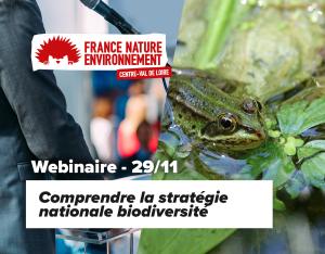 Comprendre la stratégie nationale biodiversité - replay du 29/11/2022