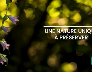 11 vidéos sur les espaces naturels sensibles du Parc naturel régional Loire Anjou Touraine