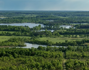 Un havre de paix pour les espèces locales : la Réserve naturelle de Chérine