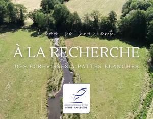 ADNe - à la recherche des écrevisses à pattes blanches !