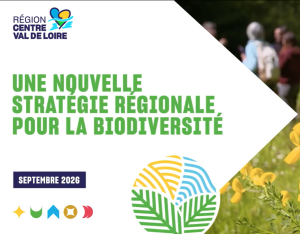Biodiversité en Centre-Val de Loire : une stratégie pour protéger le vivant d’ici 2035