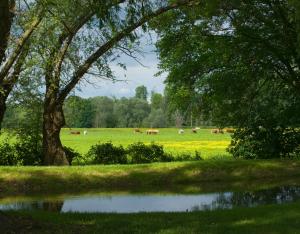 Biodiversité et agriculture