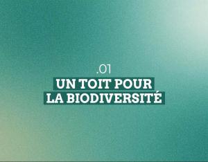 Un toit pour la biodiversité : la préservation de la biodiversité dans le bâti
