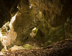 Milieux souterrains et rocheux