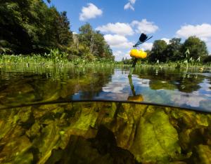 Cellule de gestion des milieux aquatiques