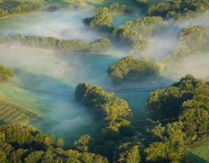 Solutions d'adaptation fondées sur la Nature