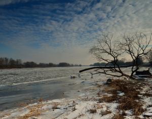 Les rendez-vous nature de l'hiver