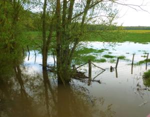 Des solutions pour réduire les risques inondations