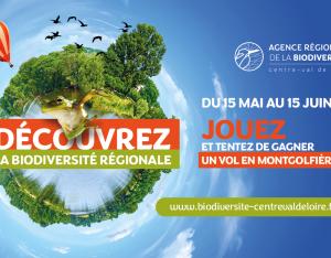 Participez au "Cherche et trouve" grandeur nature