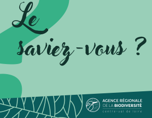 Le saviez-vous ?! - archives 2022-23