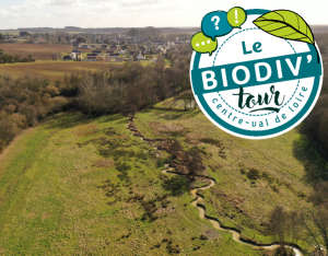 Biodiv'Tour : visite autour de la restauration et la renaturation d'une rivière et de zones humides à Saint-Martin d'Auxigny (18)
