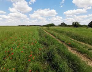 Indicateur | Suivi de l'agriculture biologique