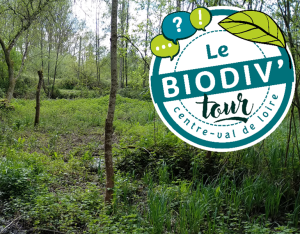 Biodiv'Tour : visite autour de la restauration et la renaturation d'une rivière et d'une zone humide à Mesland (41)