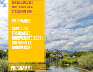 Art, Médiation culturelle et Biodiversité | CNFPT - CFB