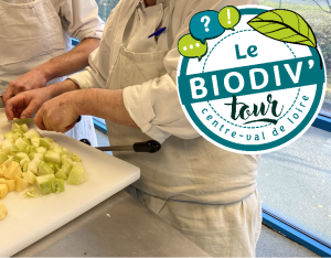 Cantine bio et locale à Fondettes