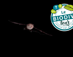 Éclairage et biodiversité à Valaire