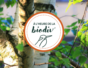 À l'heure de la biodiv' - Webinaires "Végétalisation"