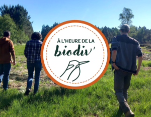 À l'heure de la biodiv' - Webinaires "Atlas et inventaires de biodiversité"