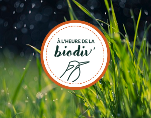 À l'heure de la biodiv' - Webinaires "Parcours de l'eau"