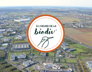 À l'heure de la biodiv' - Webinaires "Mobiliser les entreprises"